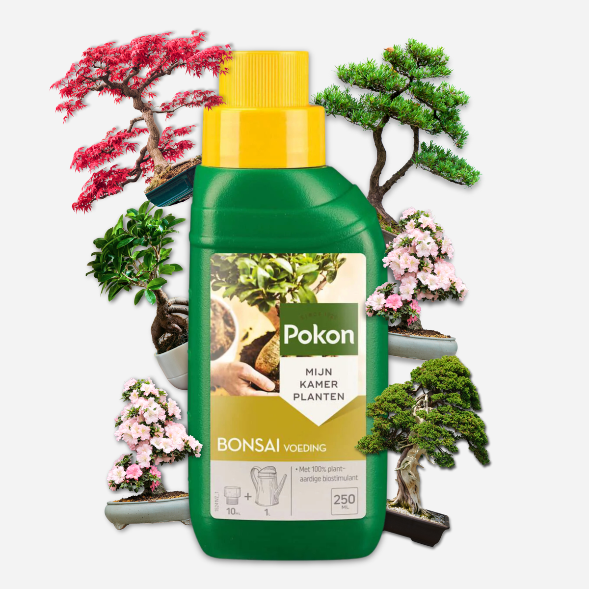 Plant Food Pokon Liquid Plant Food - Bonsai - 250Ml