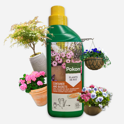Plant Food Pokon Liquid Fertiliser For Terrace And Balcony Plants – 500 Ml