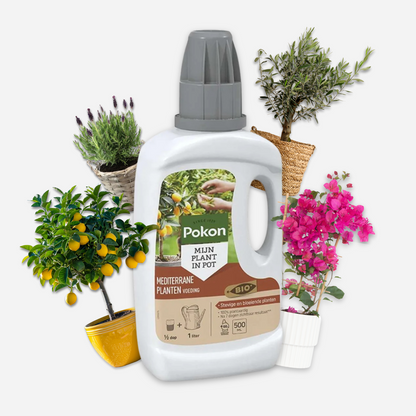 Plant Food Pokon - Liquid Plant Food Mediterranean Plants - 500Ml