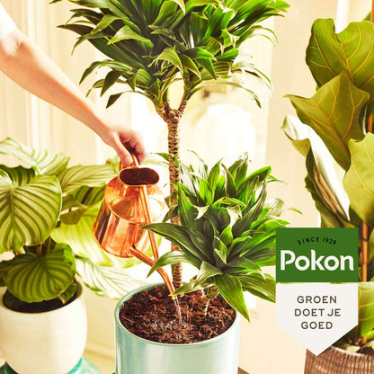 Plant Food Pokon Houseplant Food Powder – 100 Grams