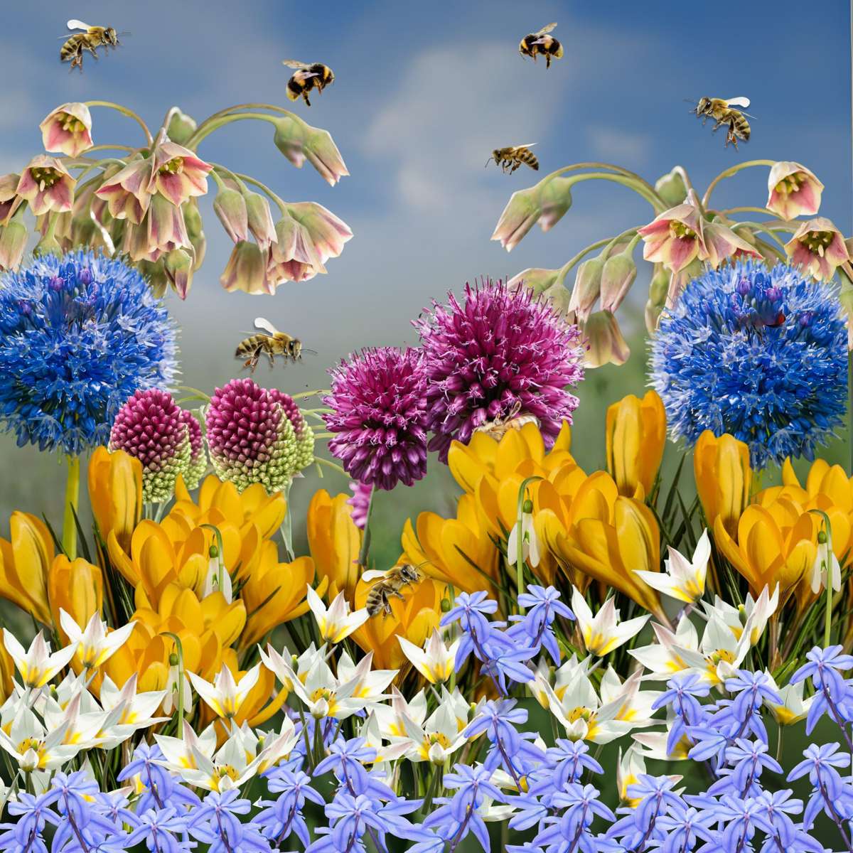 Bulb Mix Wild Bee Hotel Box - 60 Bulbs - Bee Hotel Building Guide - Hardy For Winter