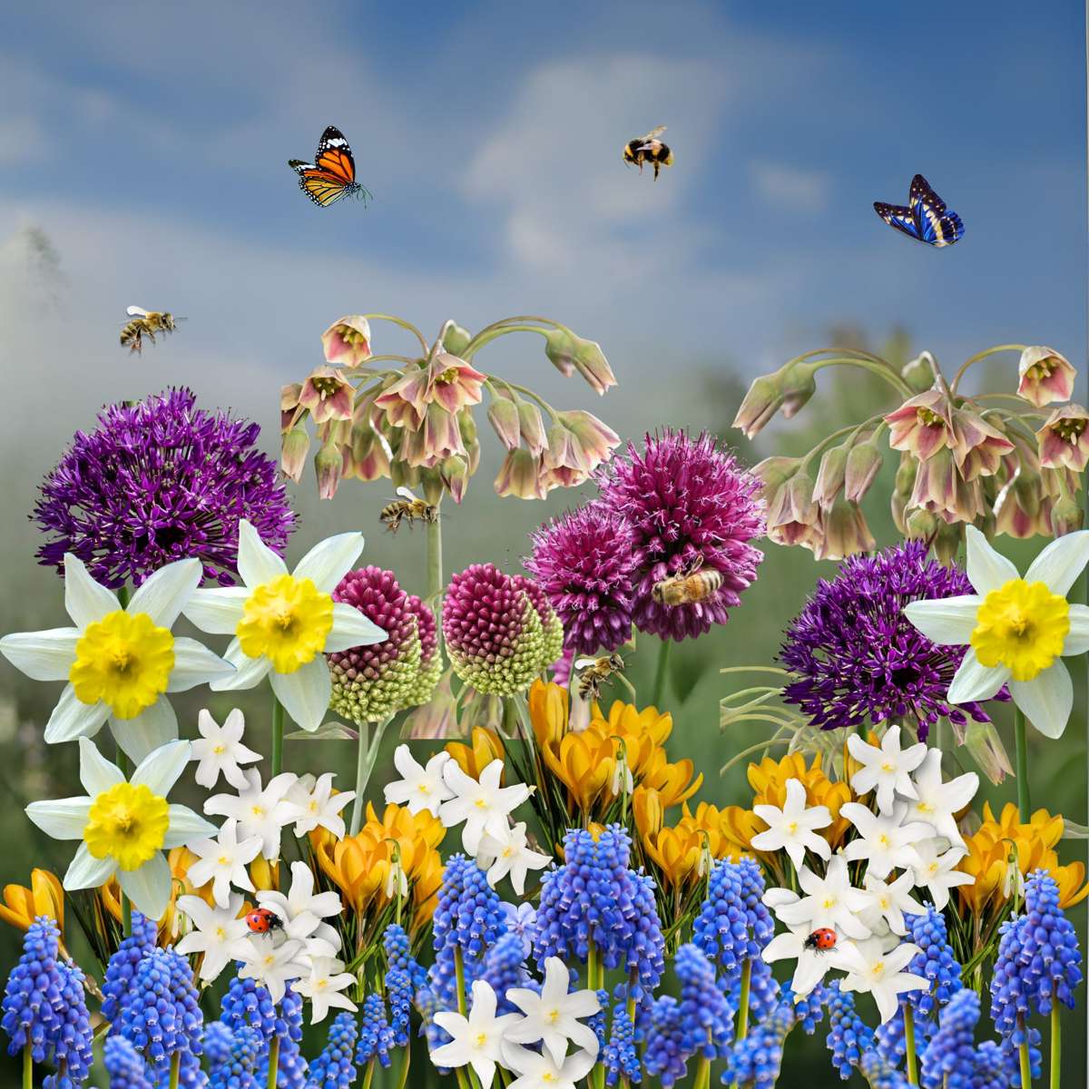 Bulb Mix Flower Bulbs For Insects - Mix Of 50 - Hardy & Perennial