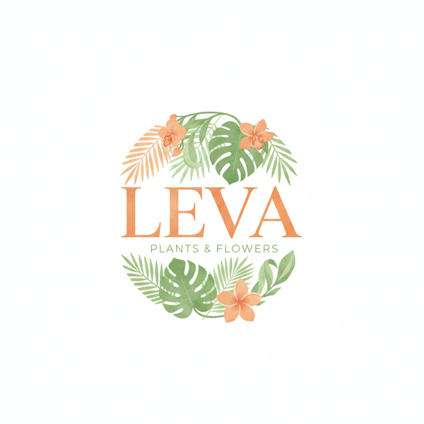 LEVA